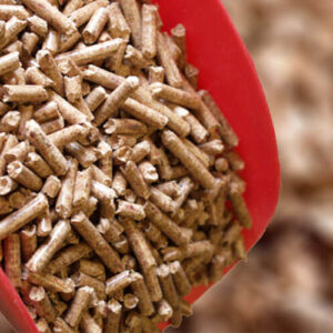 Biomass Pellets